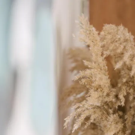 Bootham Crescent 요크