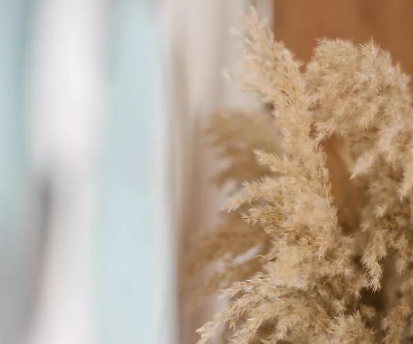 Bootham Crescent York