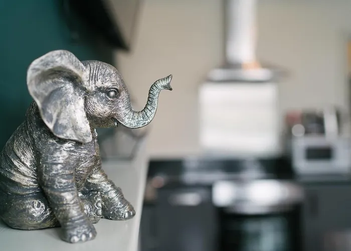 Lägenhet Bootham Crescent *